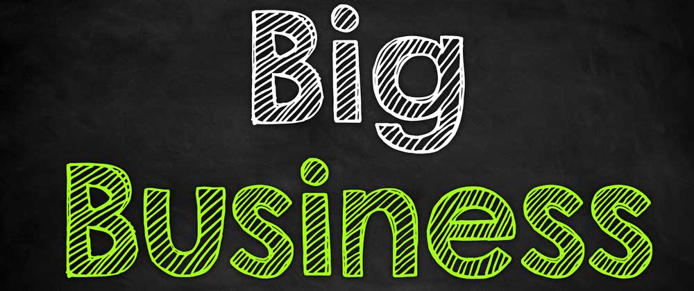 Kicking the Sh*t out of Big Business
