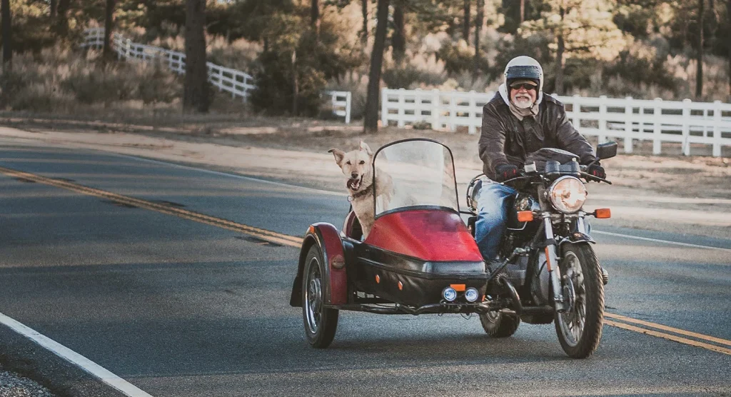 A man riding a motorcycle with a sidecar and a happy dog enjoying the ride.